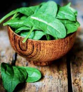 The beneficial properties of spinach for body health
