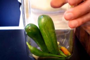 Putting the cucumbers in the bottle