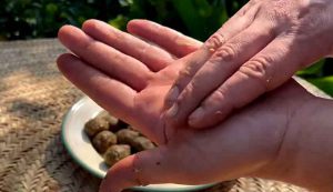 meatballs by hands